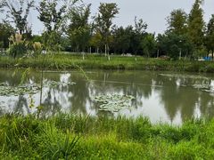 -白鹭湾湿地公园