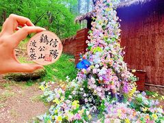 -波尔登森林公园