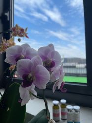 -采之汲·云南白药集团