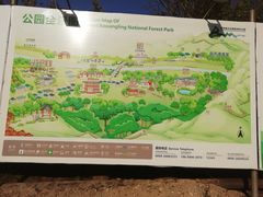 -海南霸王岭国家森林公园