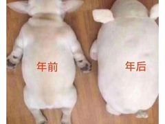 -八盛屋·沾面(集美万达店)
