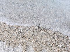-棒棰岛宾馆景区