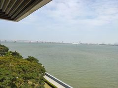 -大湾区中央湿地公园