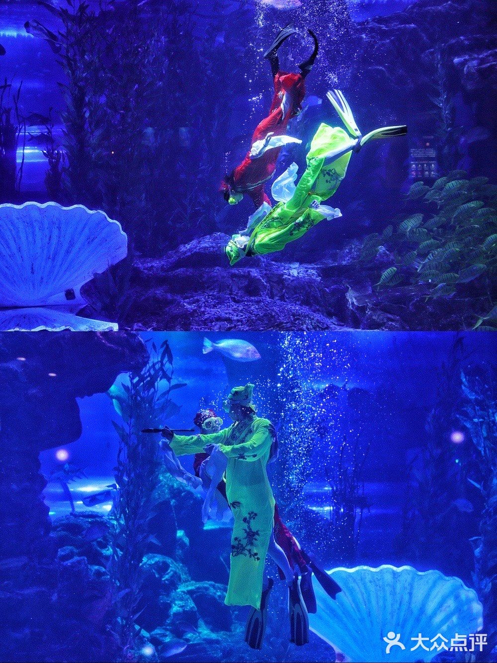 超出片｜青岛海底世界🐠小长假约起来