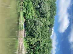 -谷丰健康凤贤居酒家