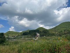 -武陵山森林公园