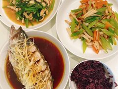 -天鹅到家·保姆月嫂育儿嫂(总店)