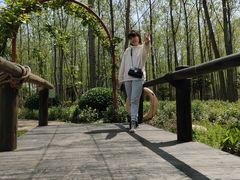 -合肥滨湖国家森林公园