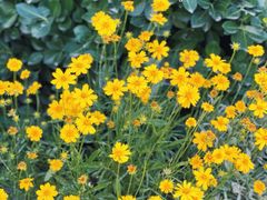 -天津东丽湖风景区