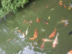 -珠海圆明新园