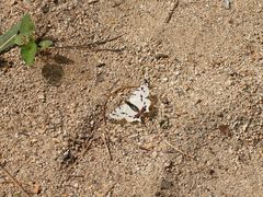 -碓臼峪自然风景区