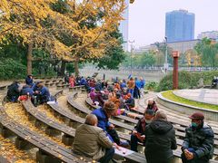 -成都市活水公园