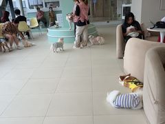 -怪兽屋·羊驼·猫咖·狗咖(俊华广场店)