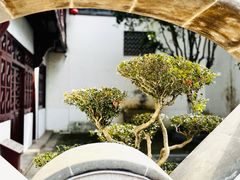-檀园