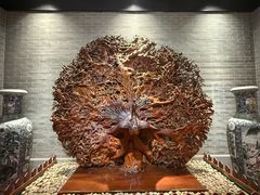 -龙悦湾酒家·八阵鱼生·渔人码头店