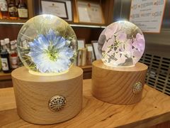 -二酉书店TOYOU BOOKS