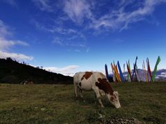 -硗碛藏寨·神木垒景区