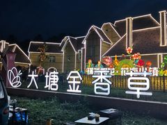 -大塘金香草谷