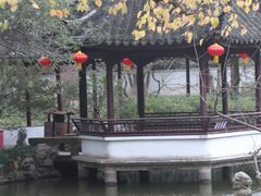 -上海醉白池公园