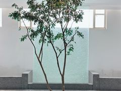 -苏州图书馆(人民路总馆)