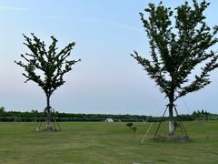 -春花秋色城市公园