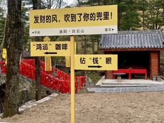 -洛阳白云山景区