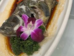 -小贝壳酒楼(经九路店)