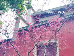 -乌山风景区