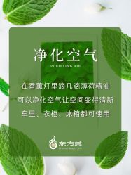 -东方美美容SPA会所