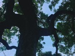 -安溪清水岩