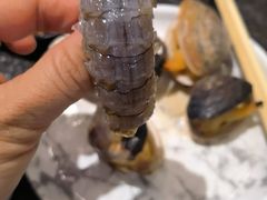 -泰白海鲜烧烤大全