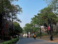 -海珠湖公园