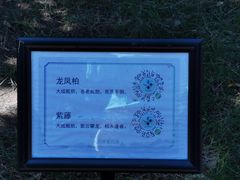 -汇龙潭