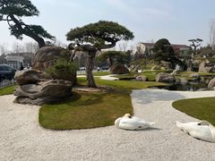 -罗红摄影艺术馆