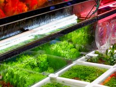 -双季花艺园艺市场(浦东店)