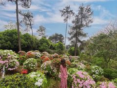 -南山植物园
