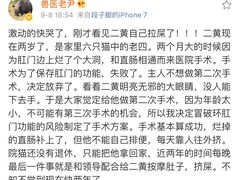 -北京赛佳动物医院