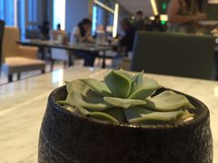 -上海宝华万豪酒店