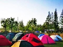 -前小桔亲子创意农场·草莓采摘·露营烧烤