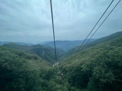 -牛背梁国家森林公园