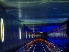 -白鹤梁水下博物馆