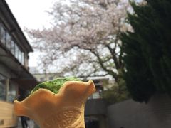 -鎌倉茶々(本店)