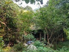 -午潮山国家森林公园