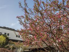 -江宁织造博物馆