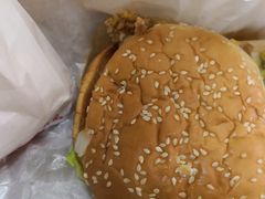 -麦当劳(红旗路店)