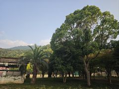 -达蓬山星梦乐园