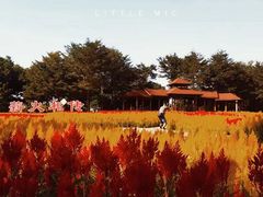 -厦门园林博览苑