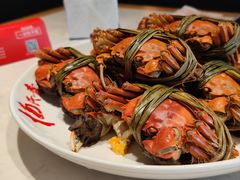 -杨氏青龙虾·羊蝎子(珠江路店)