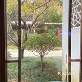 打卡川渝快乐老家~