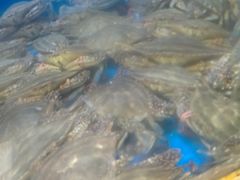 -小铜锣湾海鲜家常菜馆(河西店)